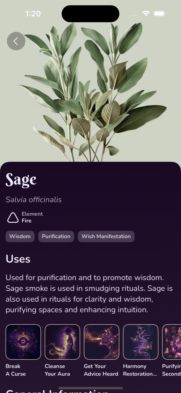 The sage page: its Latin name, element, uses and the spells that call for it